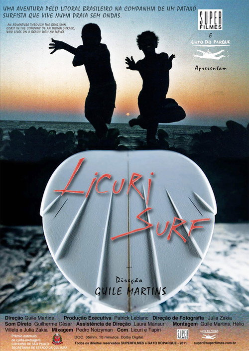 Licuri Surf (2012) poster
