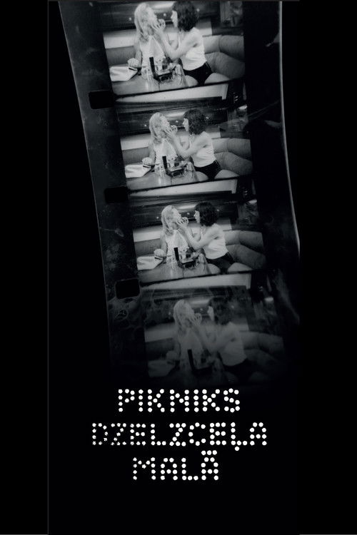 A Picnic by the Railway (2020) poster