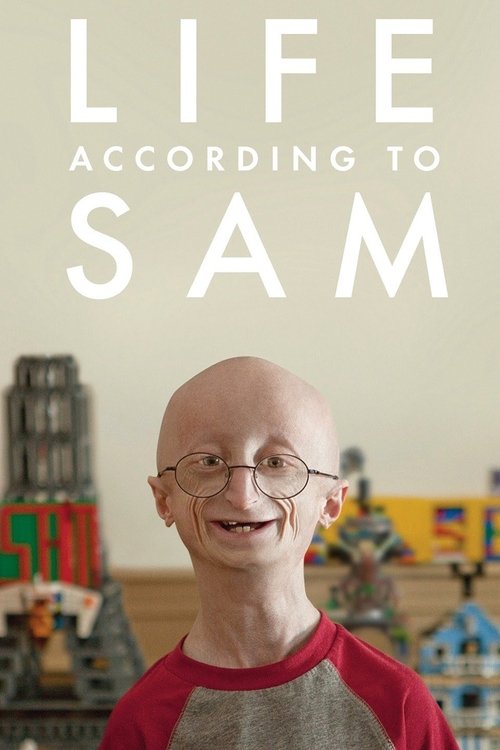 Life According to Sam (2013) poster