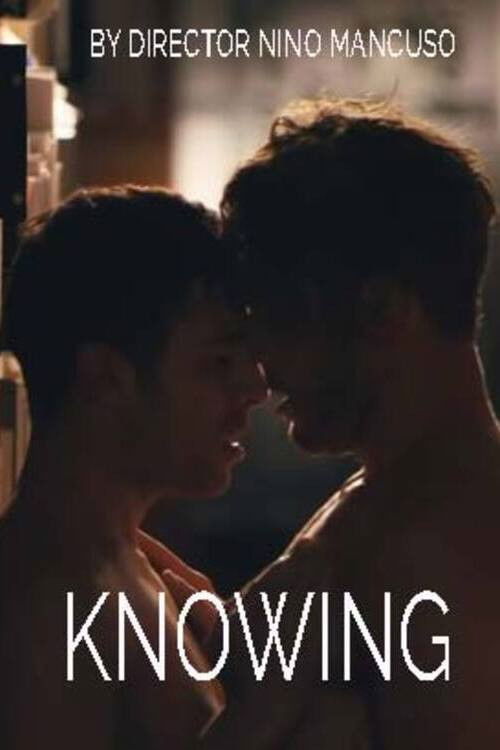 Knowing (2013) poster