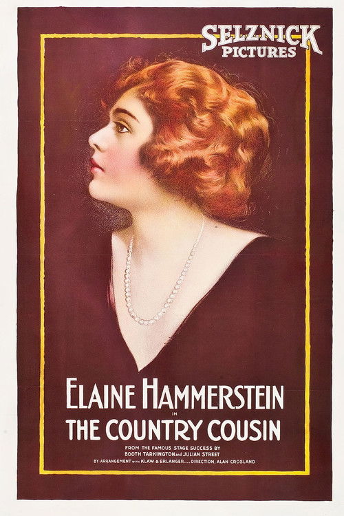 The Country Cousin (1919) poster