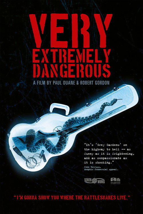 Very Extremely Dangerous (2013) poster