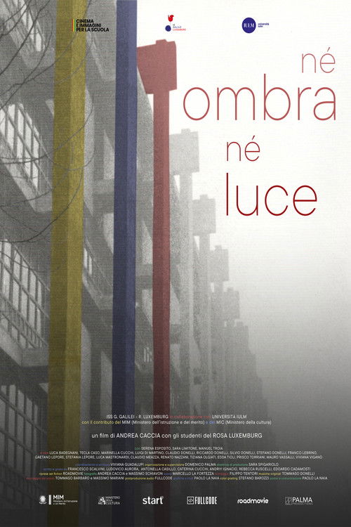 Né ombra né luce (2024) poster
