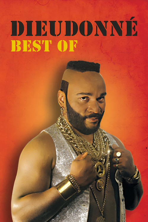 Dieudonné - Best Of (2007) poster