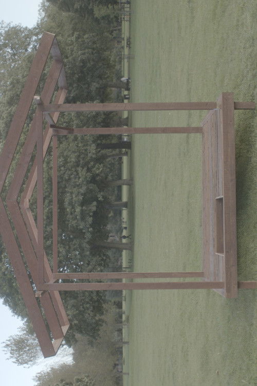 The Miracle on George Green (2022) poster