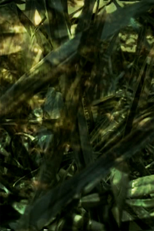 Reprieve (2007) poster