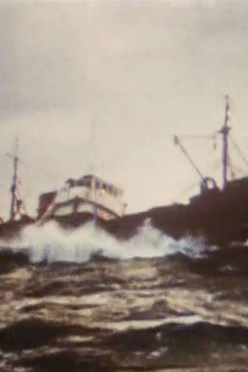 Terre-Neuvas (1993) poster