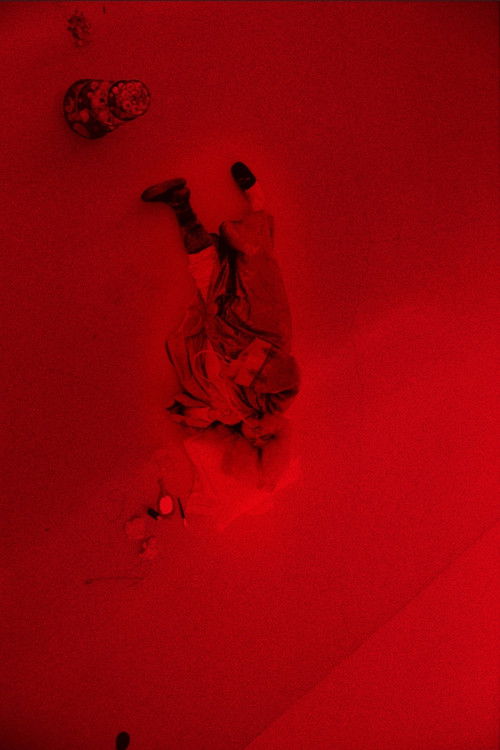 Roi Soleil (2018) poster