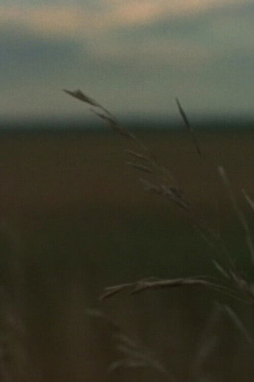 Around Sanford (2007) poster