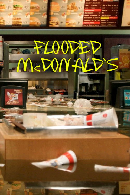Flooded McDonald’s (2009) poster