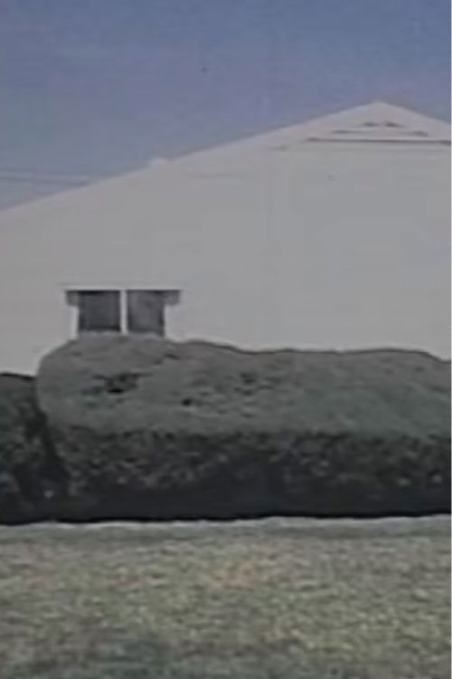 Homogeneity (1998) poster