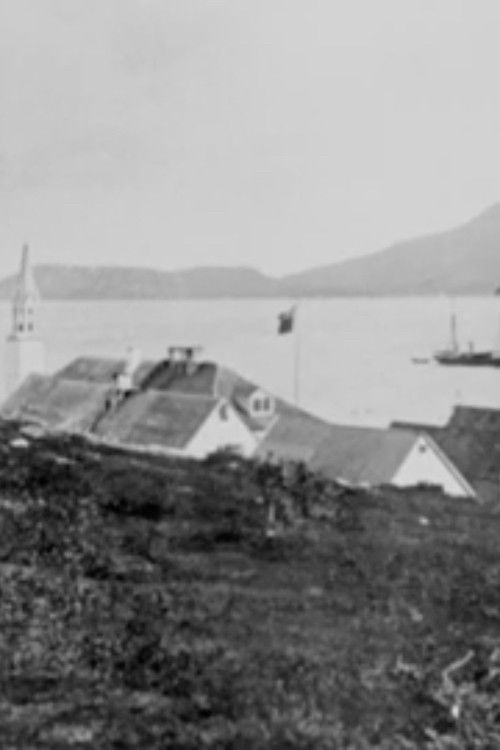 The Last Days of Okak (1985) poster