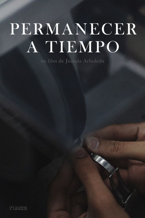 Permanecer a tiempo (2024) poster