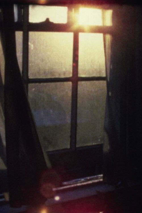 Night 'n' Day (1976) poster