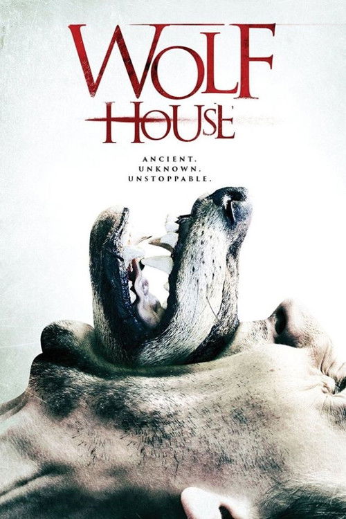 Wolf House (2017) poster