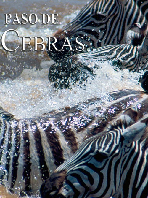 Zebras on the move (2009) poster