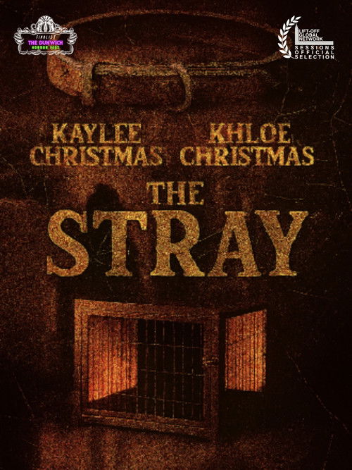 The Stray (2025) poster