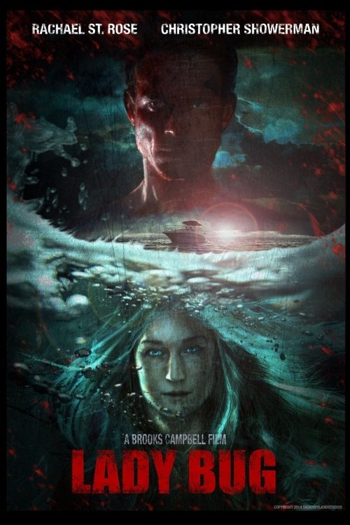 Lady Bug (2017) poster