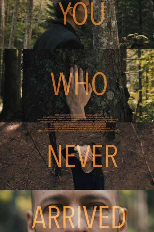 You Who Never Arrived (2021) poster