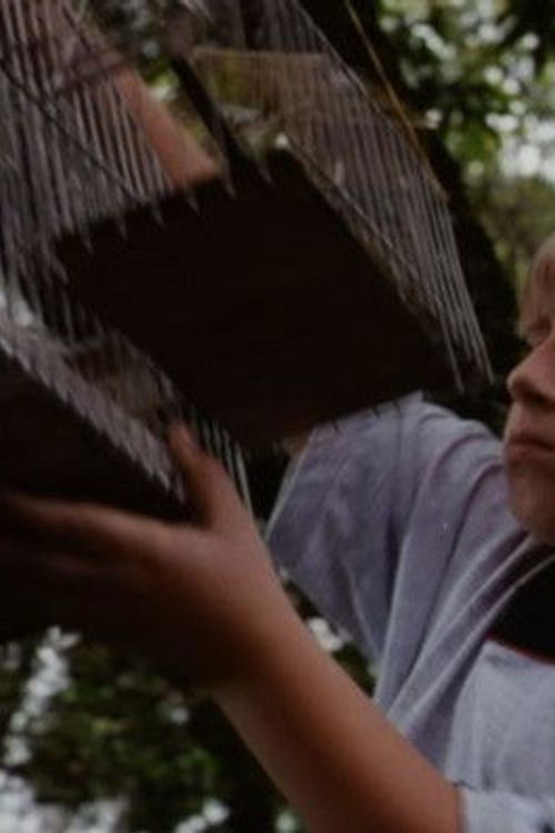 O Velho do Saco (1999) poster