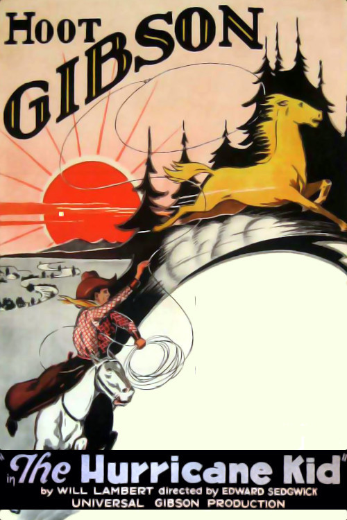 The Hurricane Kid (1925) poster
