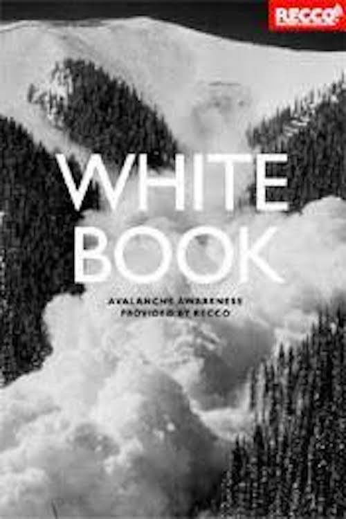 Whitebook (2010) poster