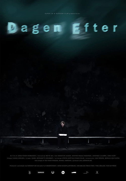 The Day After (2009) poster