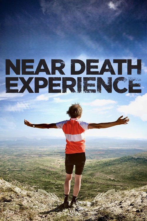 Near Death Experience (2014) poster