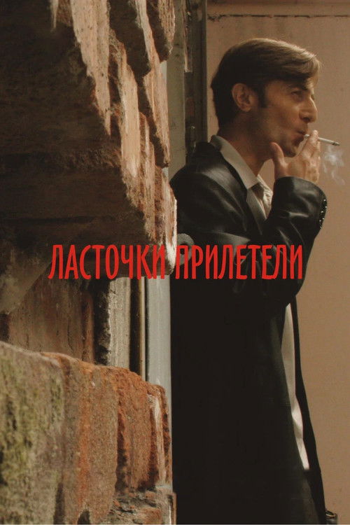 Swallows Have Arrived (2007) poster