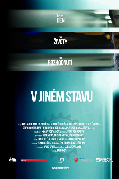 V jiném stavu (2016) poster