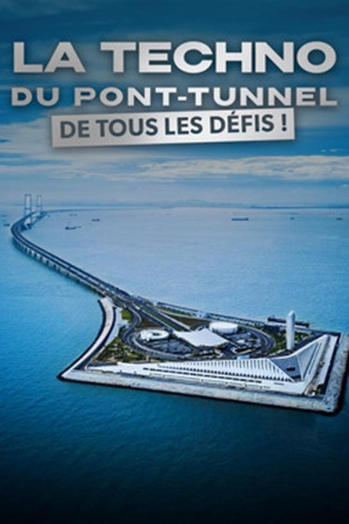 La techno du pont-tunnel de tous les défis (2025) poster