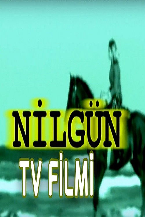 Nilgün (1999) poster