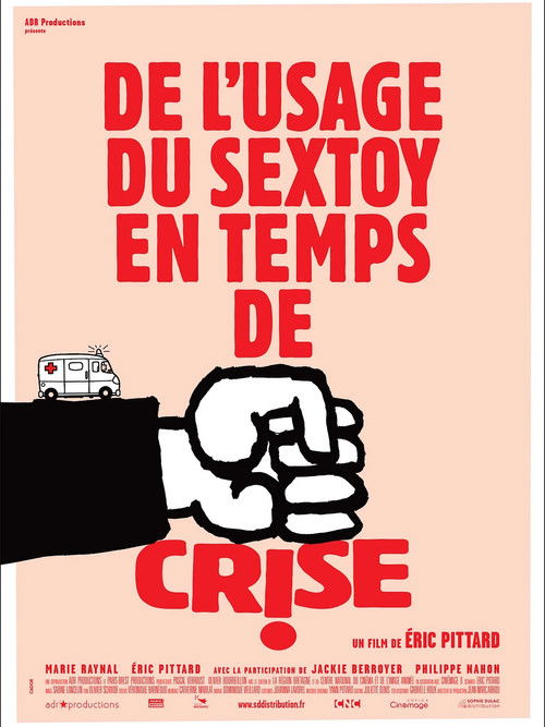 De l'usage du sex toy en temps de crise (2013) poster