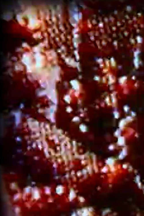 Wk=mMv2/2 (2006) poster