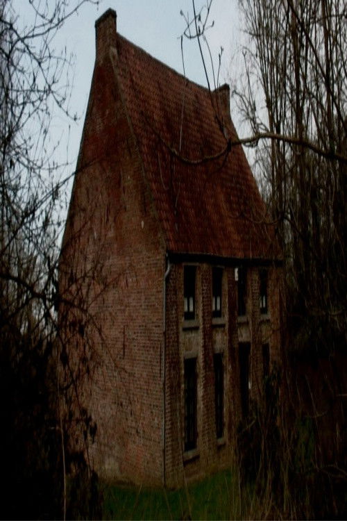 From Vincent's House in the Borinage (2017) poster