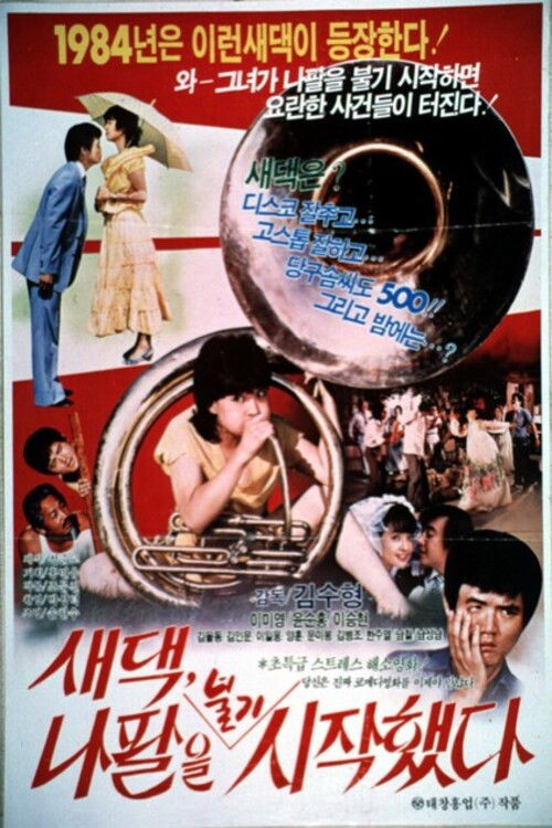 새댁 나팔을 불기 시작했다 (1984) poster