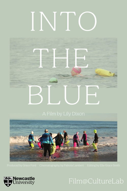 Into The Blue poster