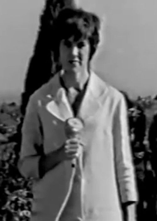 Love Is Love: Lesbians (1966) poster