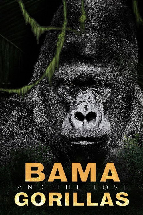 Bama, der Gorillamann - Abenteuer in Kamerun (2011) poster