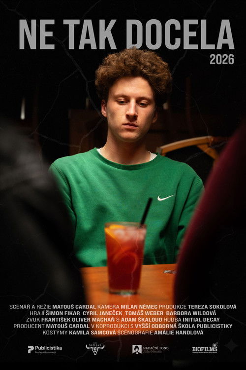 Ne tak docela (2026) poster