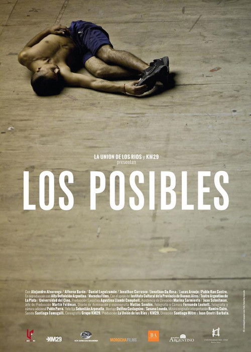 Los posibles (2013) poster
