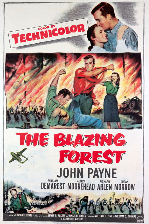 The Blazing Forest (1952) poster