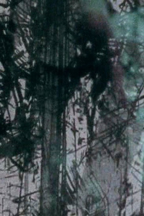 Surfacing (2004) poster