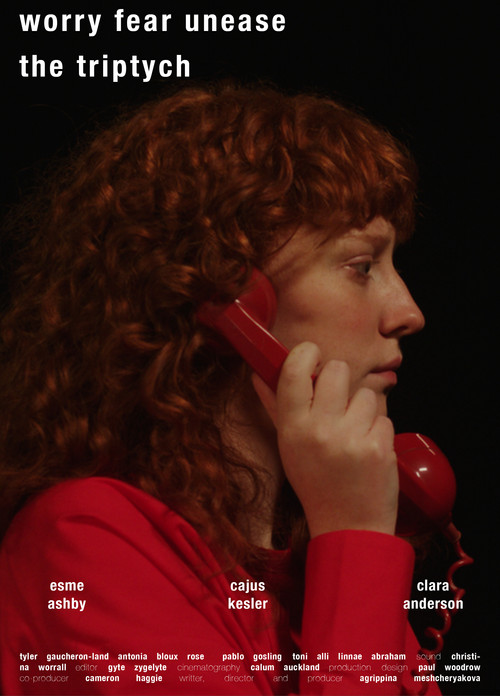 worry-fear-unease. the triptych (2024) poster