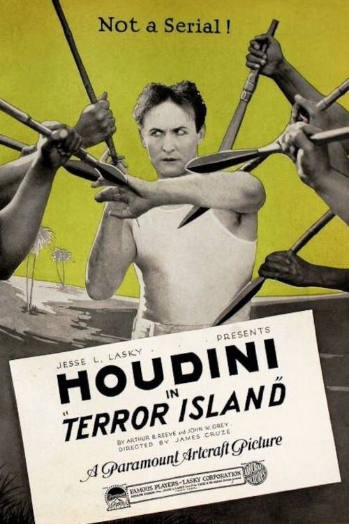 Terror Island (1920) poster