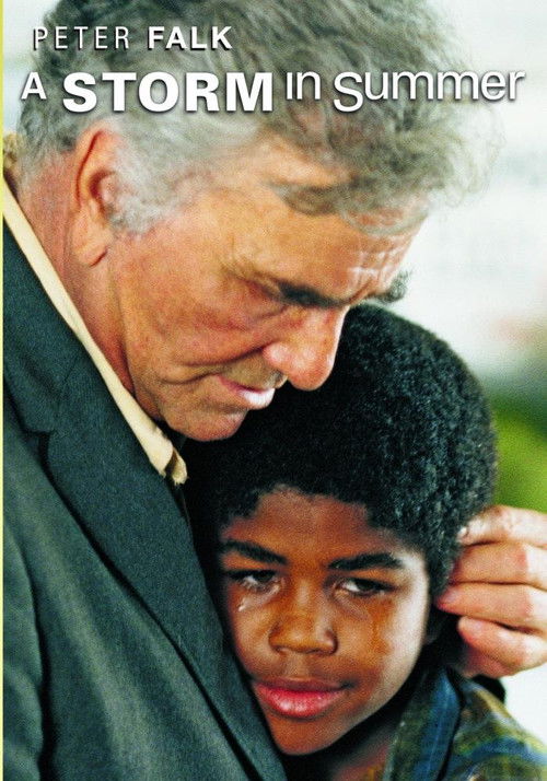 A Storm in Summer (2000) poster
