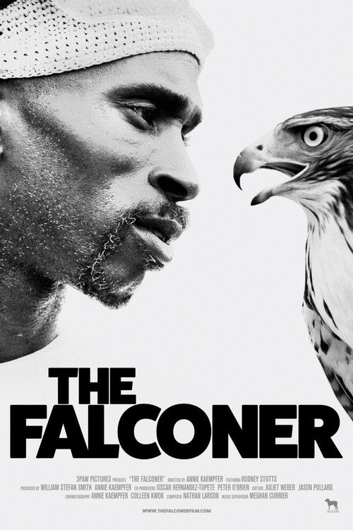 The Falconer (2020) poster