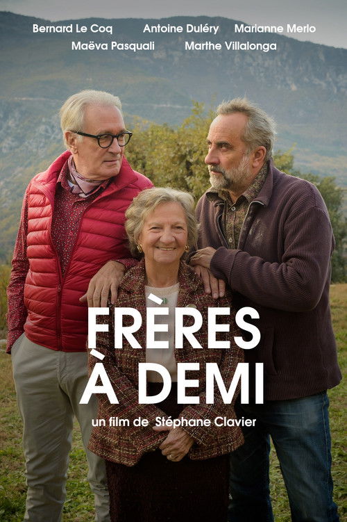 Frères à demi (2016) poster