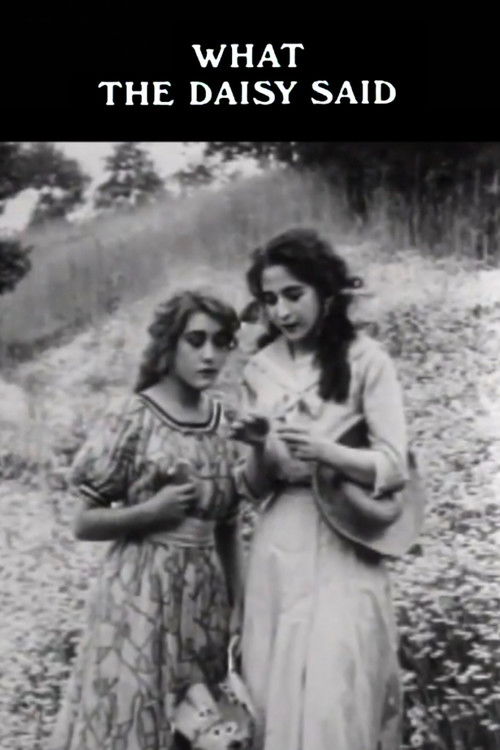 What the Daisy Said (1910) poster