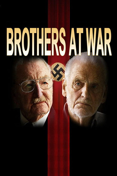 Brothers at War (2010) poster